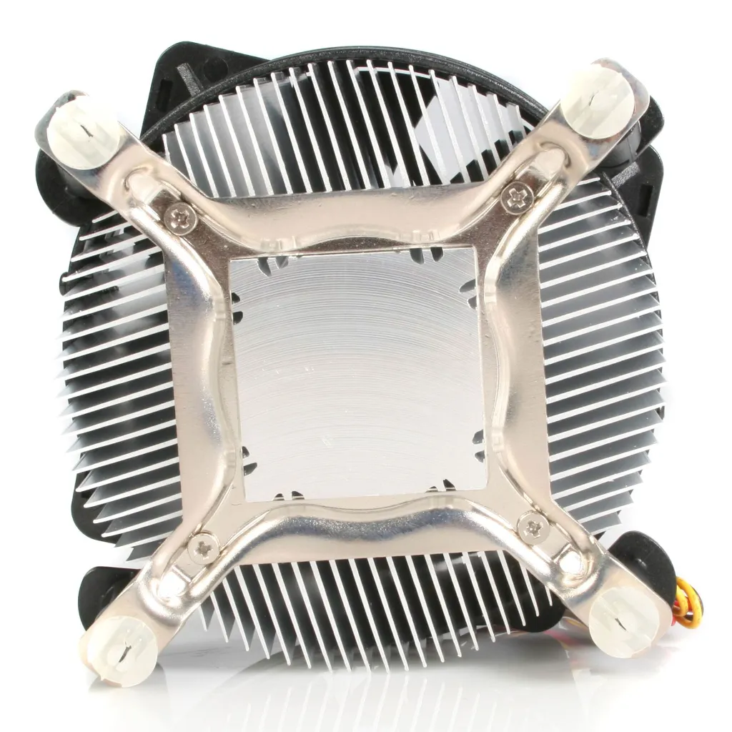 fan775e.b.webp