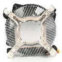 fan775e.b.webp
