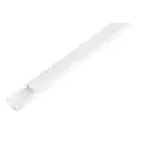 CAN-1735.webp