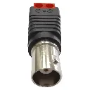 TTBNC306-LAT-DER-h.webp