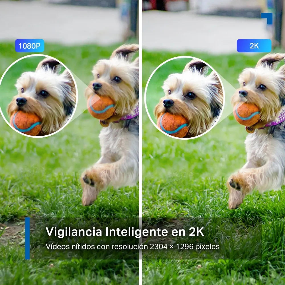 TapoC310-CamarainteligenteWi-FideVigilanciaparaExterior360_1080p_DeteccionIA03_large_20251119184656g.webp