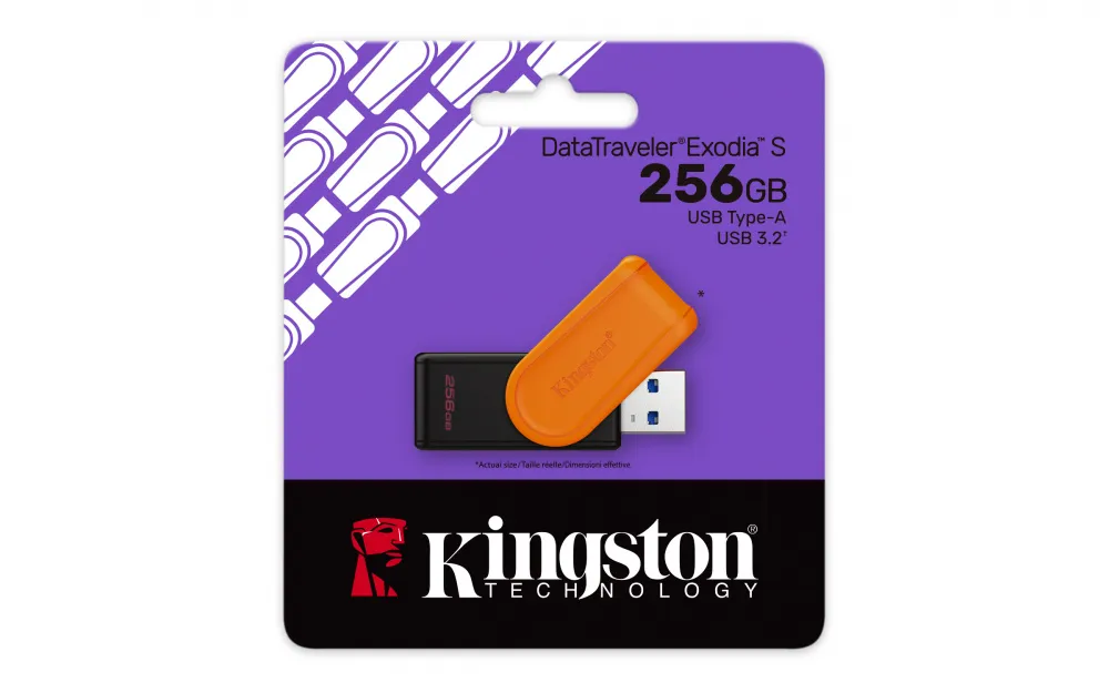 CP-KINGSTON-DTXS256GB-20fb04.webp