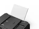 19Lin_FAL_Black_18.webp