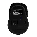 CP-VORAGO-MO-306-BK-5.webp