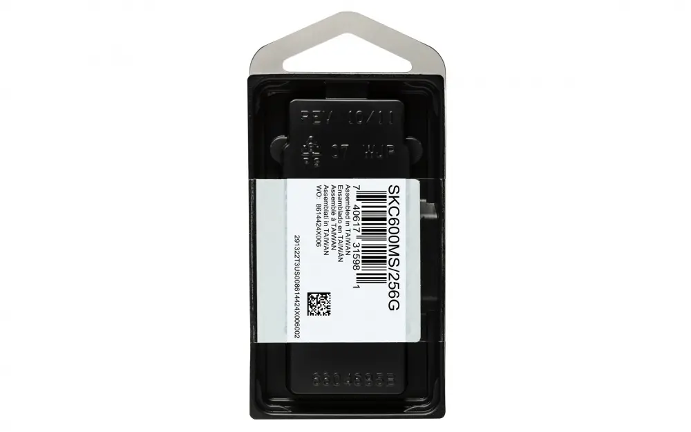 CP-KINGSTON-SKC600MS256G-5.webp
