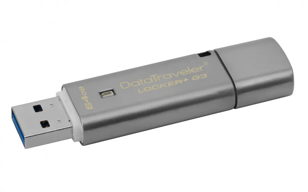 CP-KINGSTON-DTLPG364GB-ROW-2722f2.webp