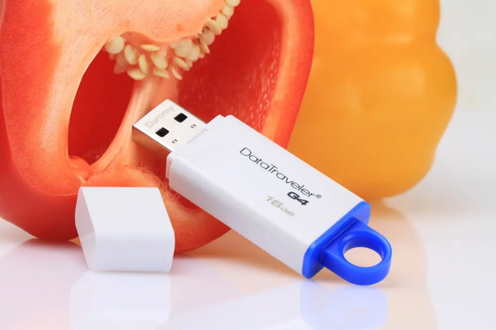 CP-KINGSTON-DTIG416GB-8.webp