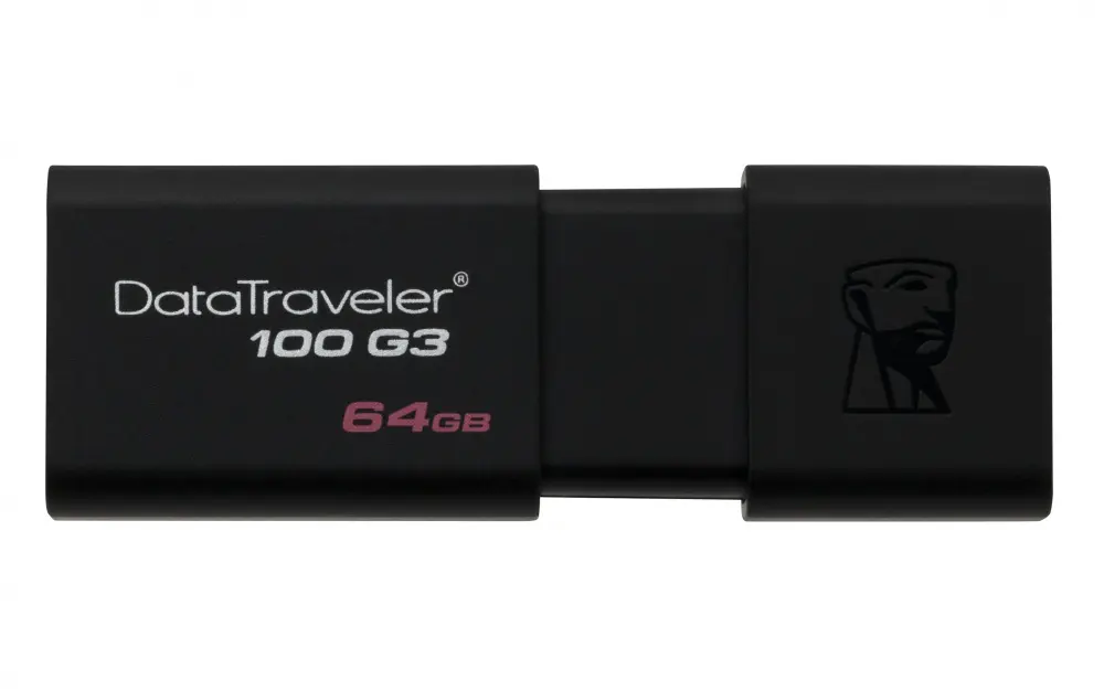 CP-KINGSTON-DT100G364GB-4.webp