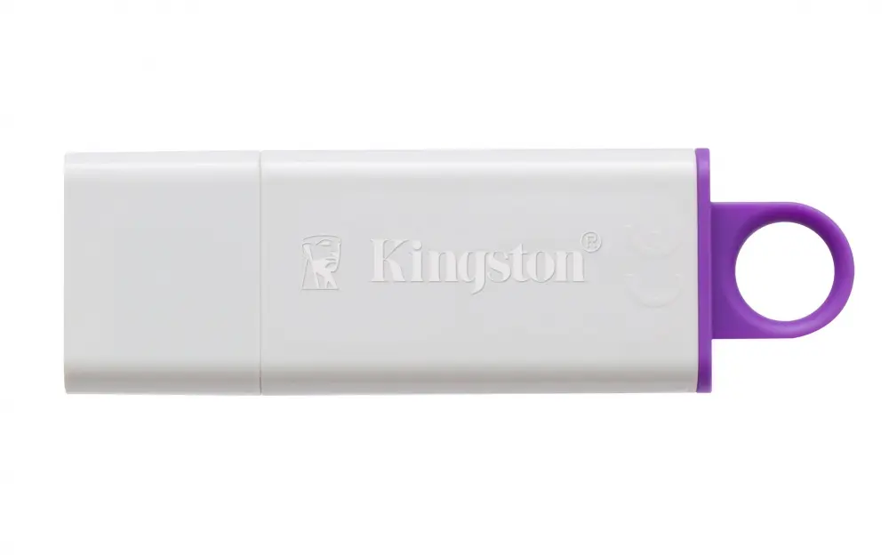 CP-KINGSTON-DTIG464GB-2.webp
