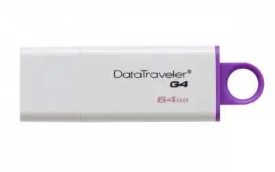 CP-KINGSTON-DTIG464GB-1.webp