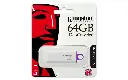 CP-KINGSTON-DTIG464GB-6.webp