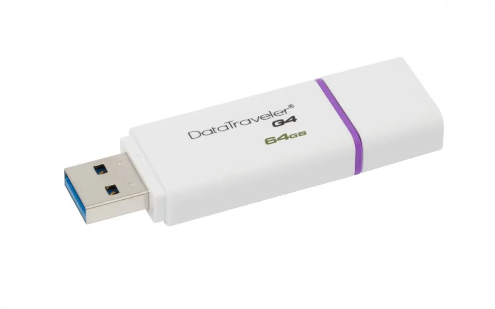 CP-KINGSTON-DTIG464GB-5.webp