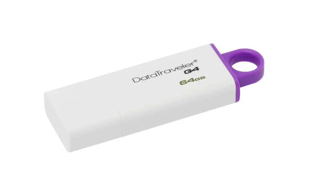 CP-KINGSTON-DTIG464GB-3.webp
