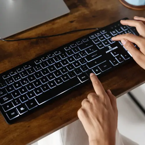 Backlight_1_500x.webp