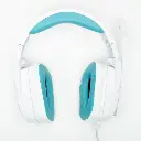 COULD_PASS_2_500x.webp