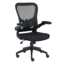 Nextep Silla Plegable NE-650A, Respaldo de malla, Reposabrazos Ajustables, Negro SKU: NE-650A