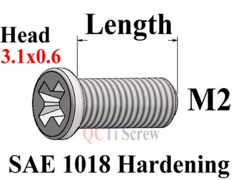 1 Tornillo M2 M2x5 de Zinc negro destornillador Phillips de cabeza oblea ROHS tornillo QCTI